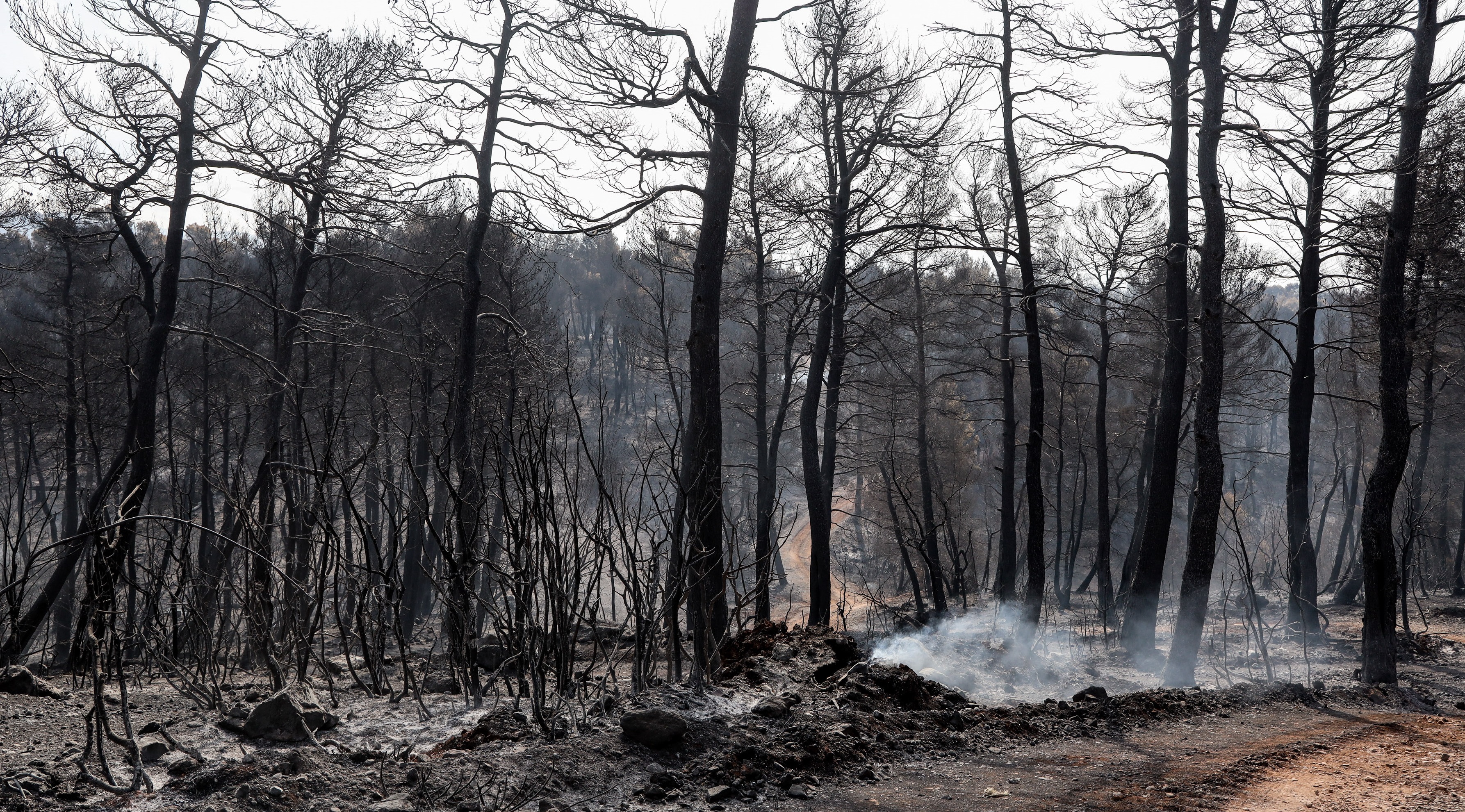 Φωτιά Εύβοια: Άρση τηλεφωνικού απορρήτου ζητούν οι αρχές