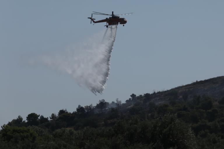 Φωτιά στην Ελάτη Κοζάνης
