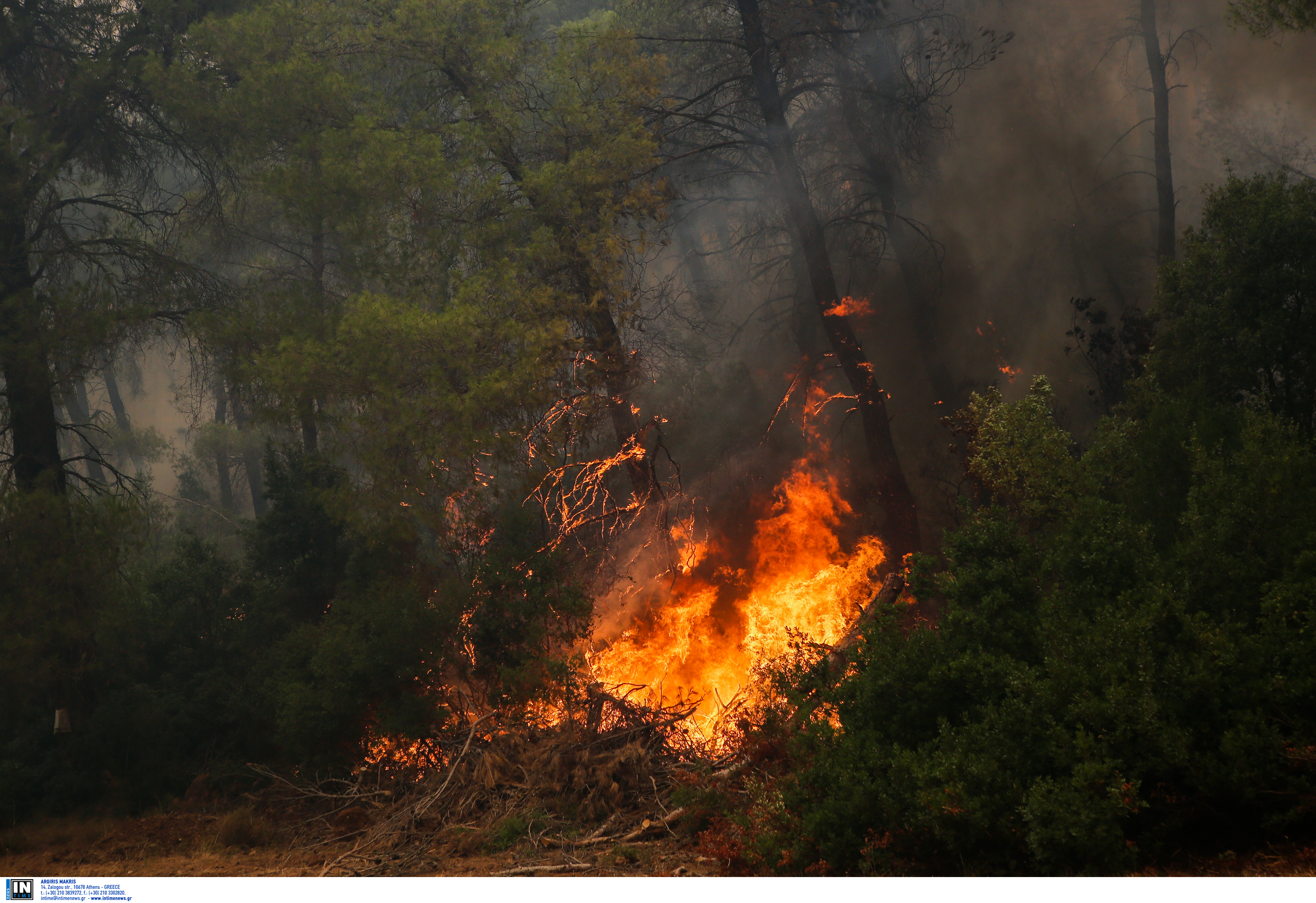 Υψηλός ο κίνδυνος για φωτιά την Τρίτη