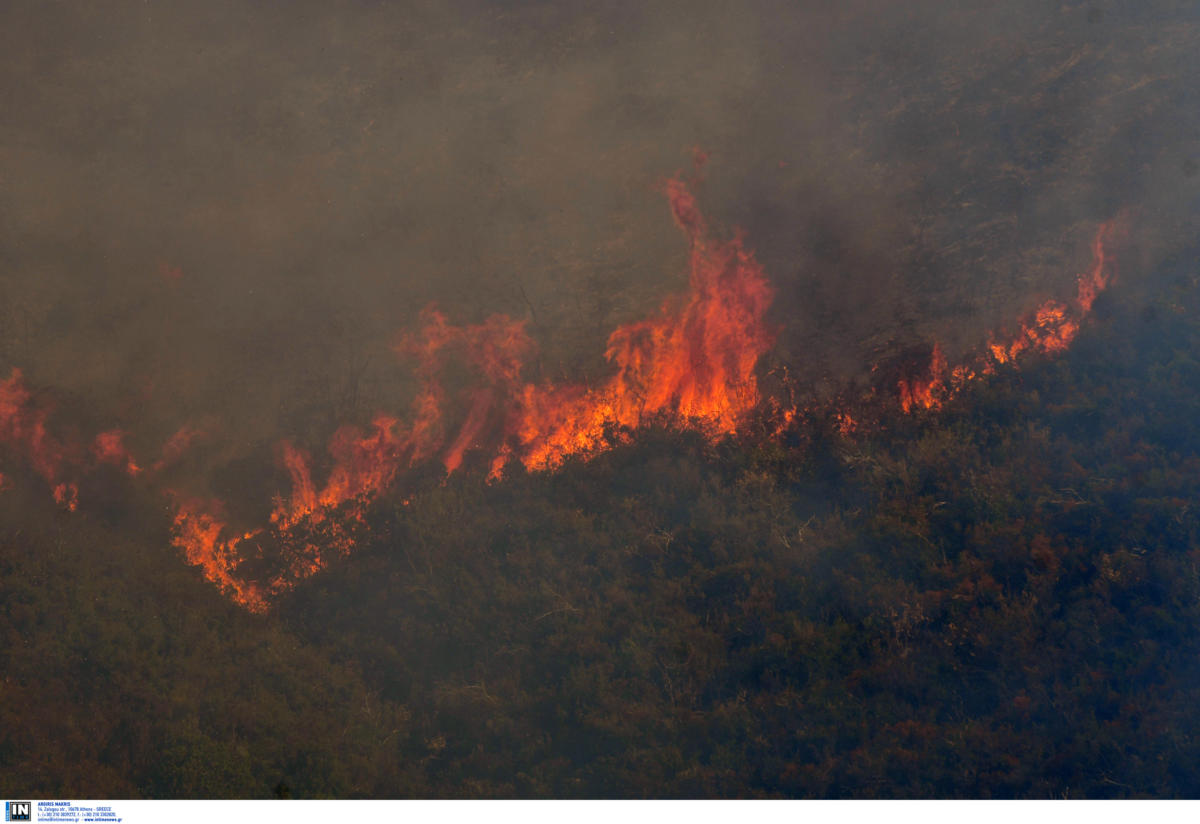 Αχαΐα: Μεγάλη κινητοποίηση για πυρκαγιές σε Μπούκα και Φώσταινα