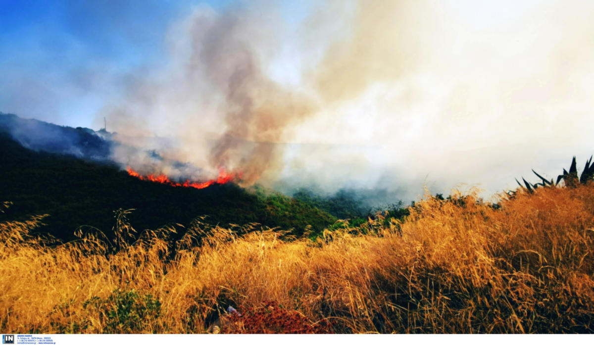 Ρέθυμνο: Φωτιά στον Πάνορμο – Οι βοριάδες δυσκολεύουν την κατάσβεση