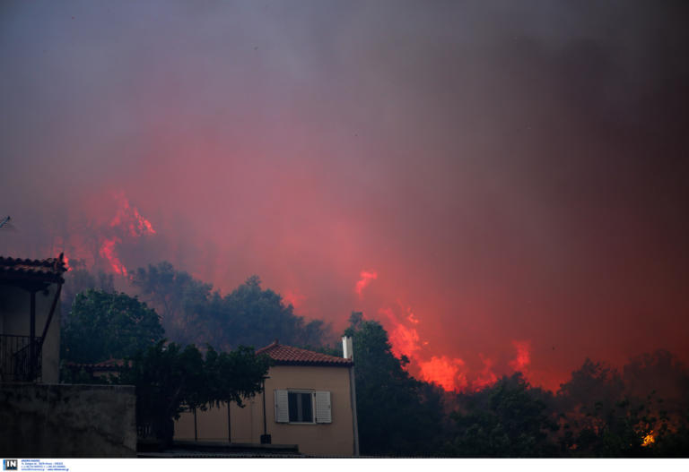 Βόρειοι άνεμοι στα Ψαχνά Ευβοίας δυσκολεύουν τις προσπάθειες κατάσβεσης της φωτιάς