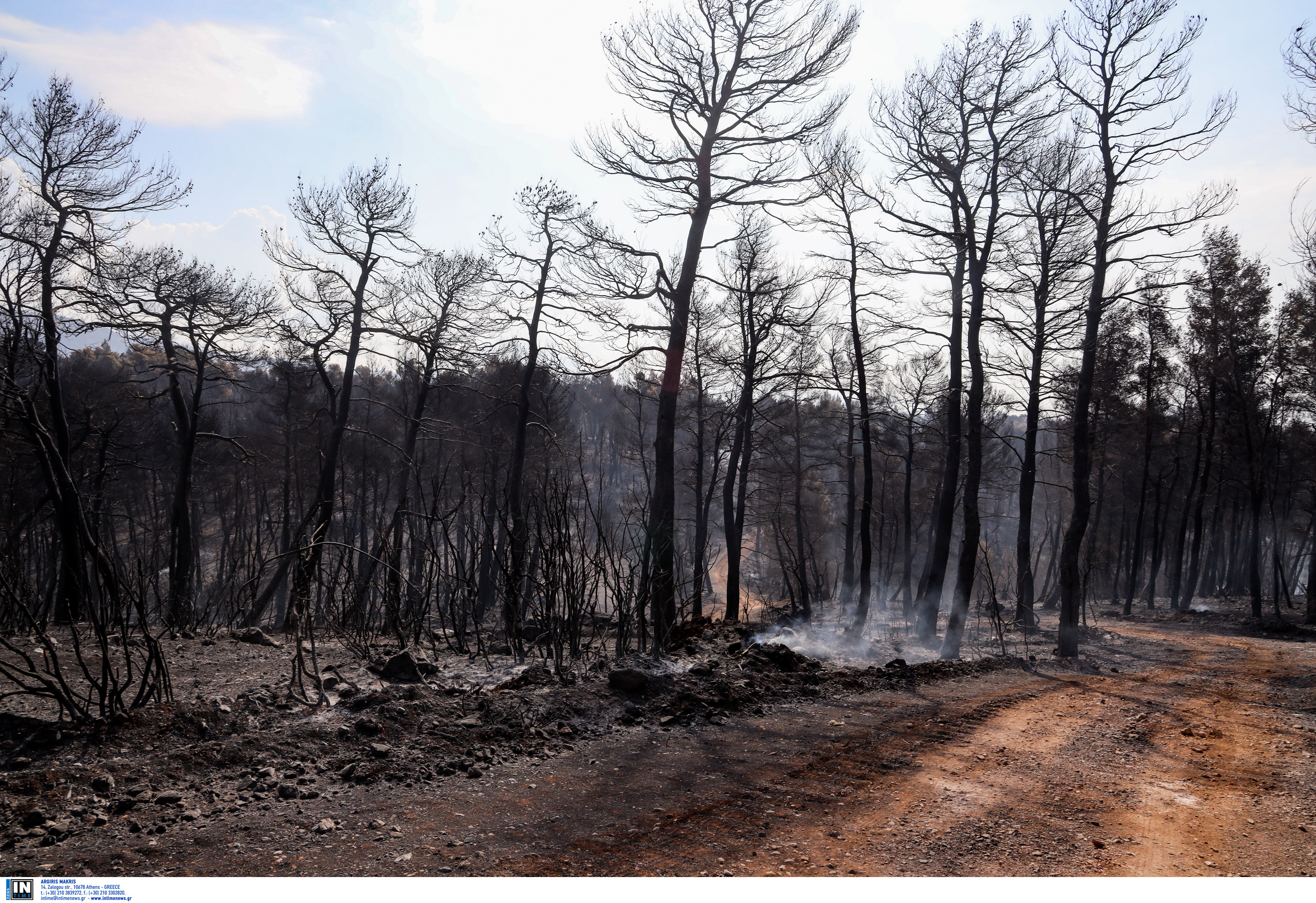 Εύβοια φωτιά: Η πρώτη χαρτογράφηση της περιοχής που κάηκε