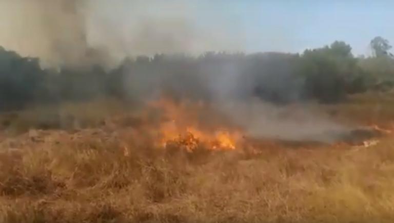 Î¦Ï‰Ï„Î¹Î¬ Ï„ÏŽÏÎ± ÏƒÏ„Î· Î›ÎµÏ…ÎºÎ¯Î¼Î¼Î· ÎšÎ­ÏÎºÏ…ÏÎ±Ï‚ â€“ video