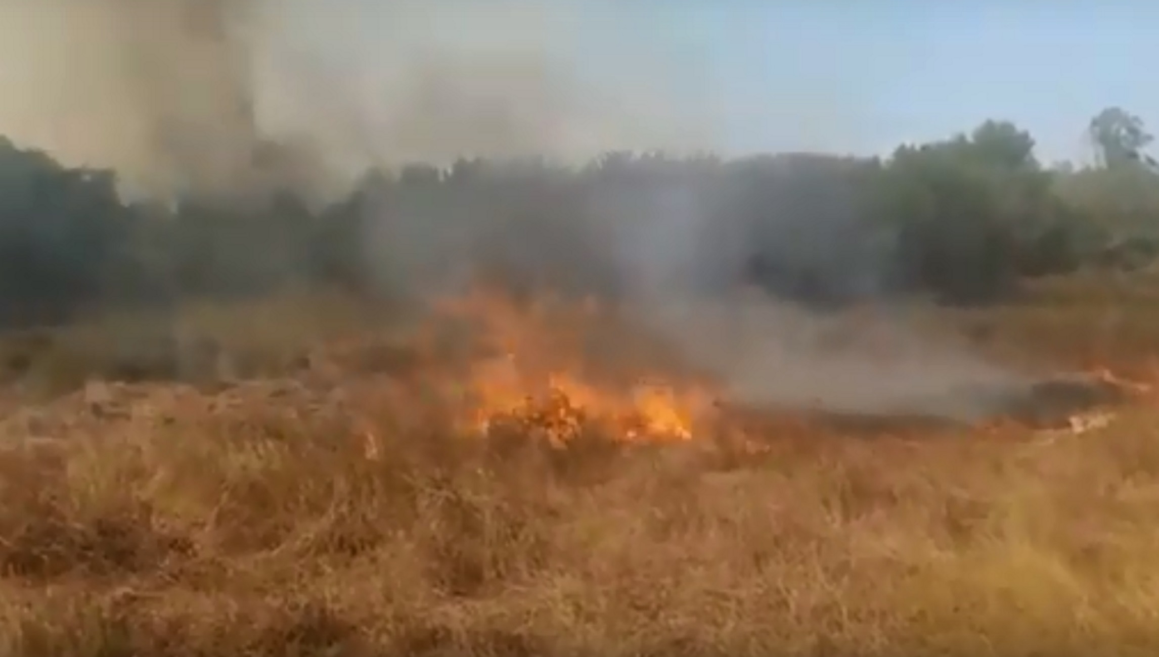 Φωτιά στη Λευκίμμη Κέρκυρας – video