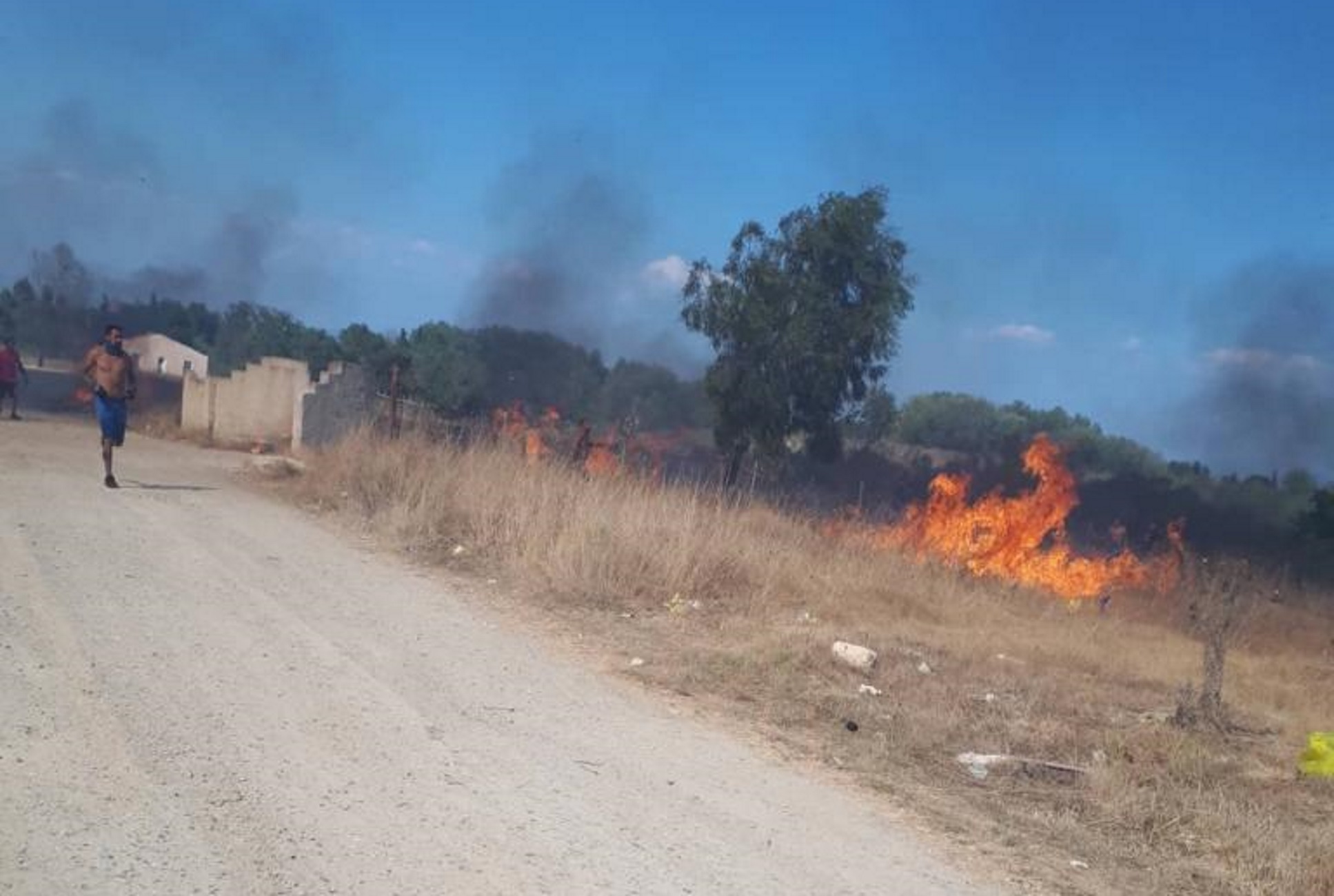 Κέρκυρα: Σε ύφεση η μεγάλη φωτιά στη Λευκίμμη