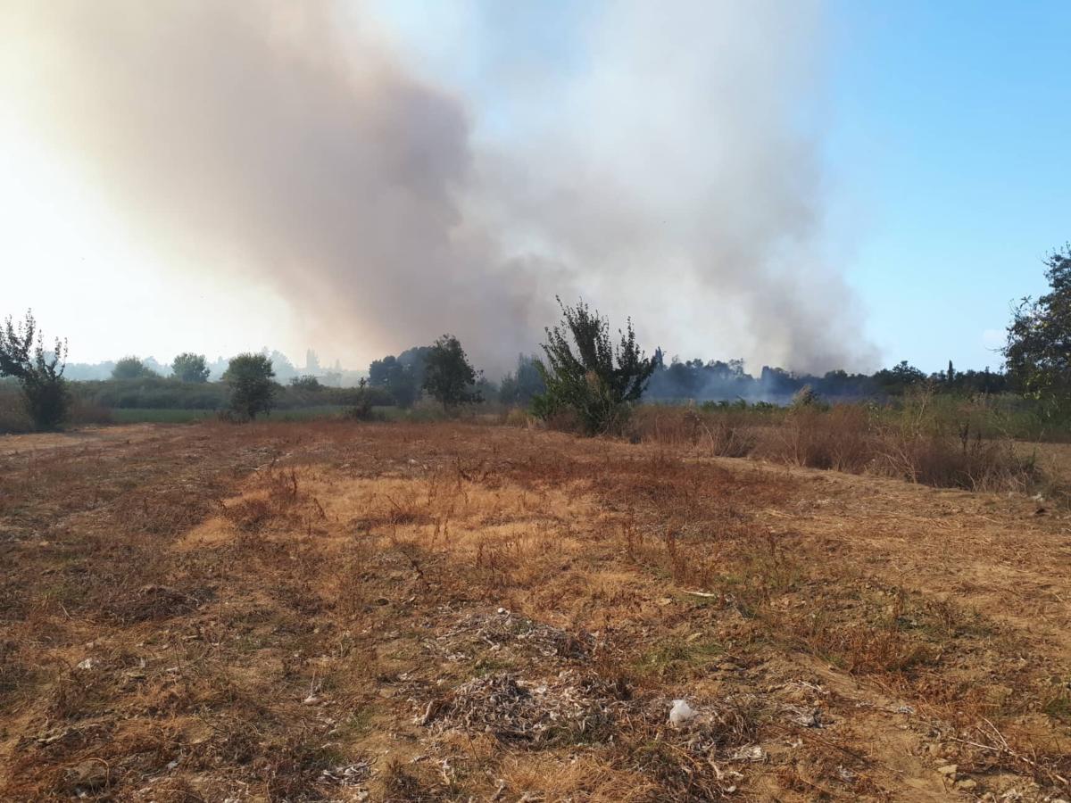 Υπό έλεγχο η φωτιά στο Μαραθώνα