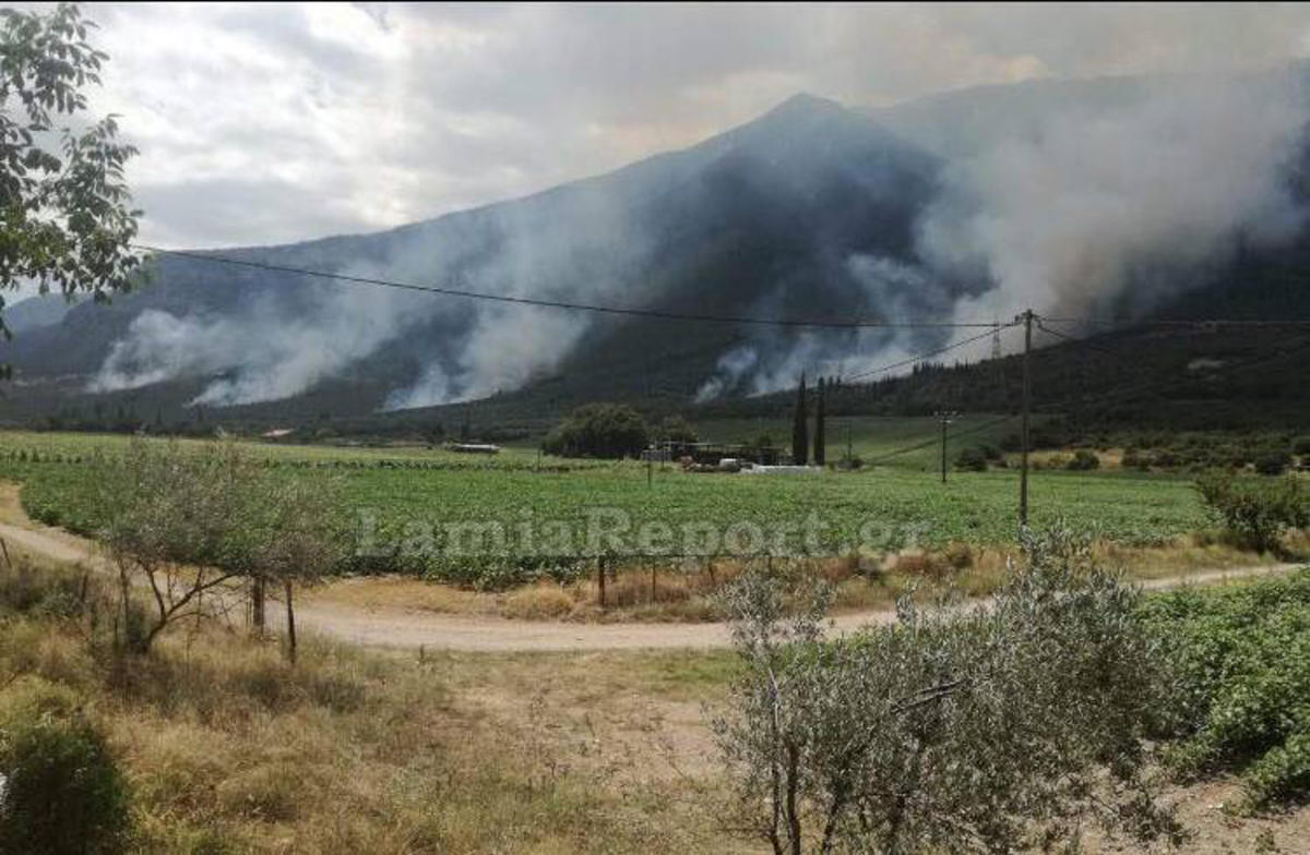 Μεγάλη φωτιά στην Τιθορέα – 4 διαφορετικές εστίες