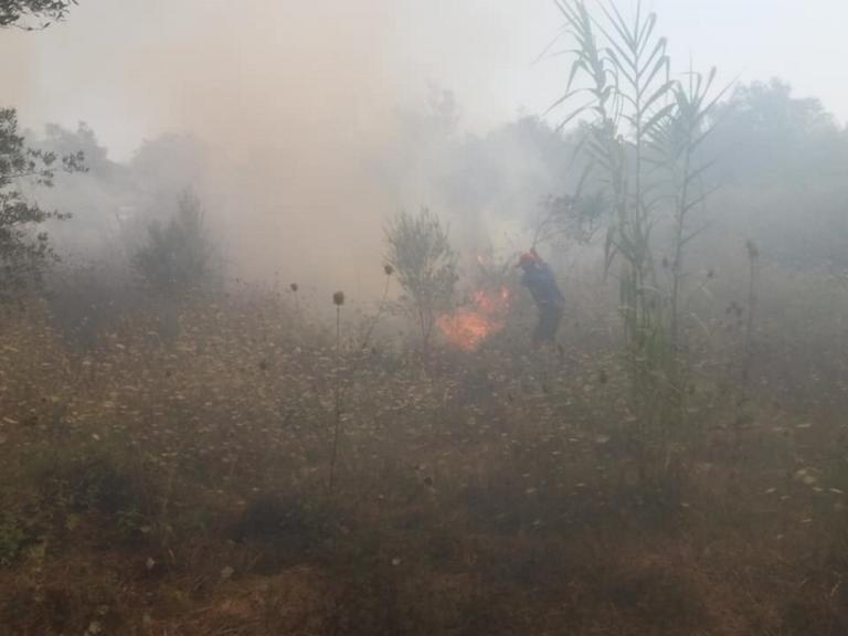 Κέρκυρα: Υπό έλεγχο η φωτιά στα Κρητικά Λευκίμμης