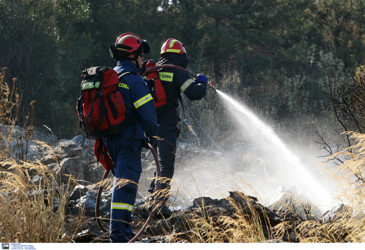 Φωτιές… παντού παρά τις προειδοποιήσεις! Κάηκαν Μαραθώνας, Ελαφόνησος, Ζούμπερι