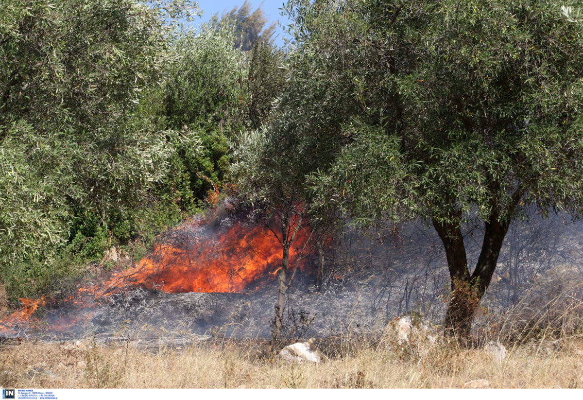 Φωτιά στην Παιανία Αττικής