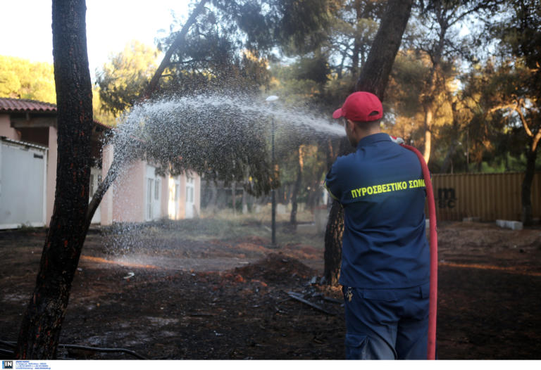 59 φωτιές σε 24 ώρες! Επιχείρησαν σχεδόν 500 πυροσβέστες - Σε ύφεση τα μέτωπα σε Μαραθώνα και Ελαφόνησο