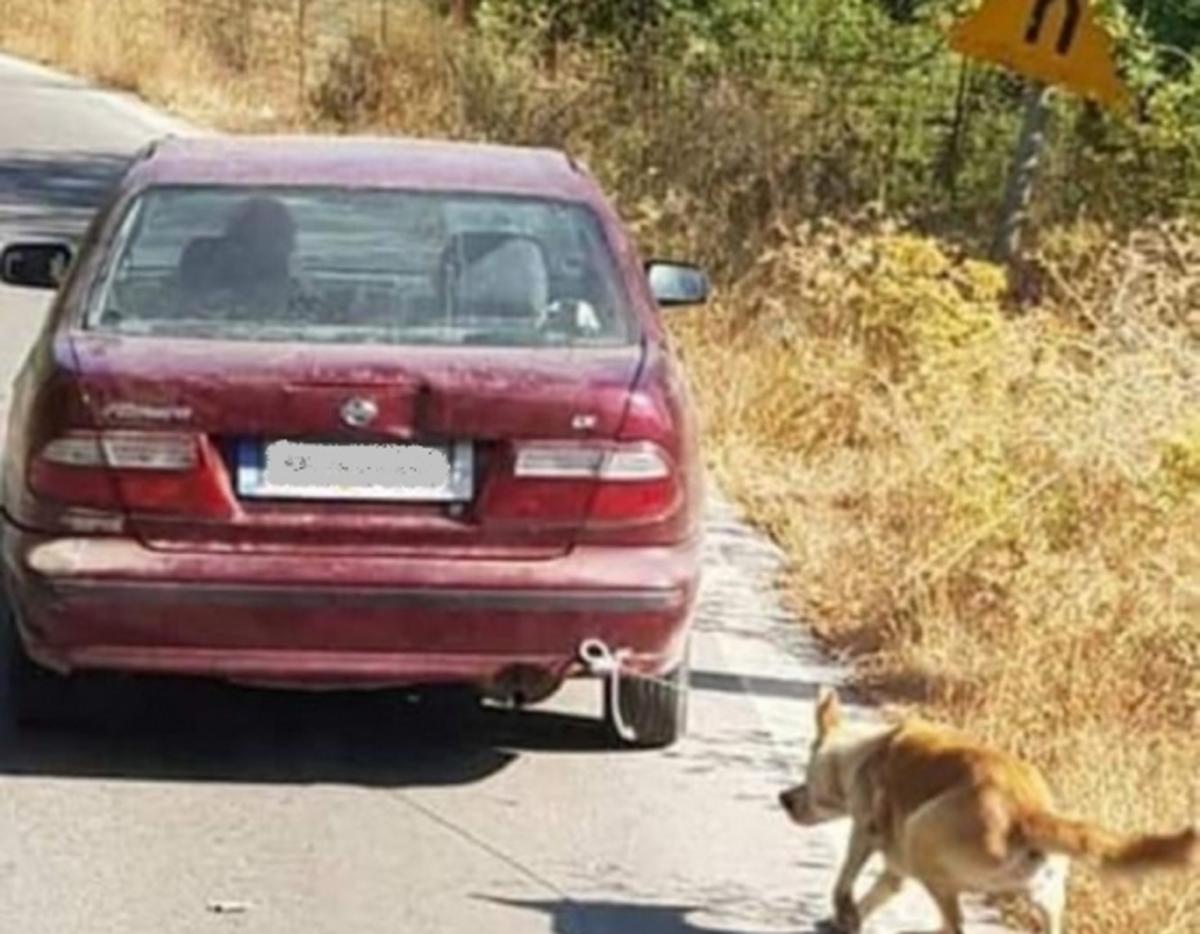 Ρέθυμνο: Συνελήφθη ο οδηγός που είχε δέσει στο αυτοκίνητό του ένα σκυλί