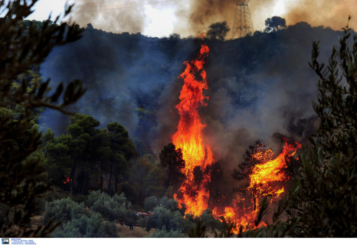 Φωτιά στην περιοχή Κορώνη στην Πάργα