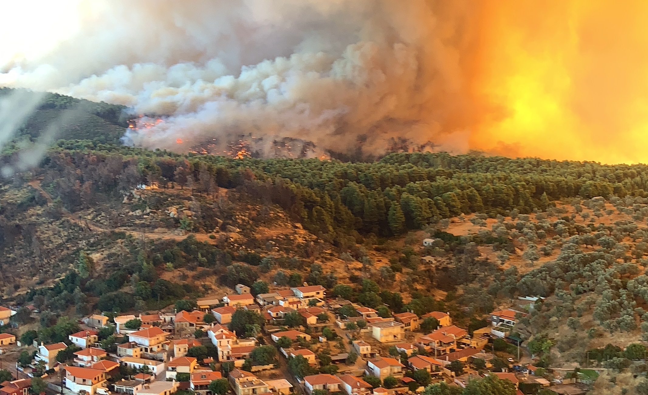 Φωτιά Εύβοια: Σε παράταξη μάχης οι πυροσβέστες! 5 χιλιόμετρα το ενεργό  μέτωπο της φωτιάς!