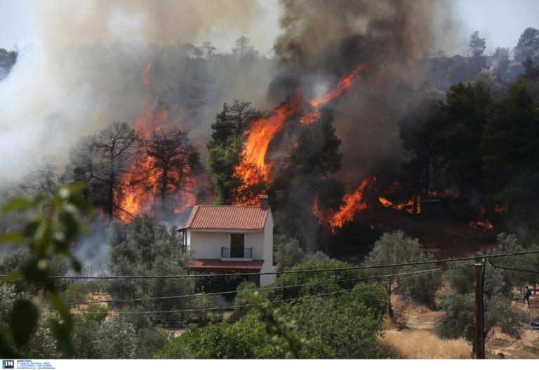 Φωτιά: Αυτό είναι το προφίλ του εμπρηστή στην Ελλάδα! Στοιχεία σοκ!