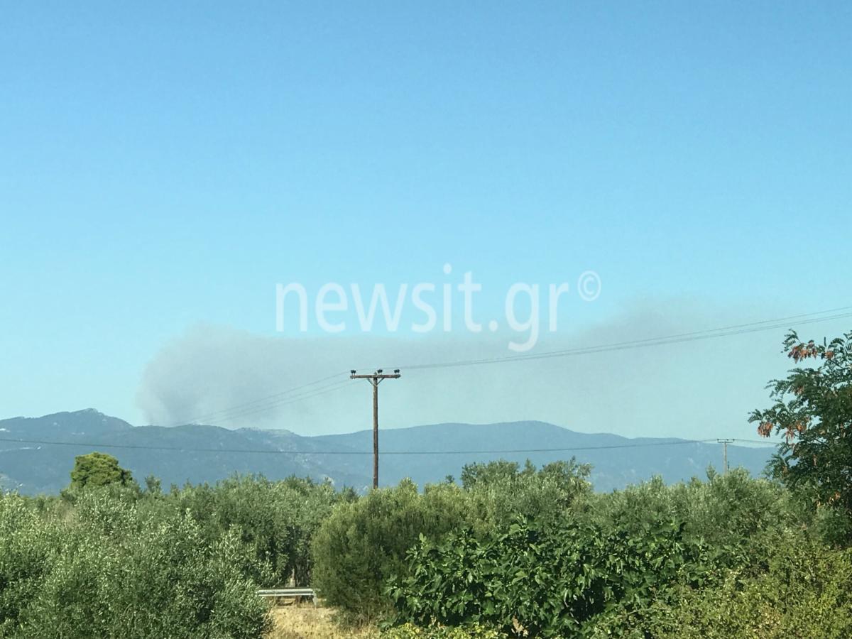 Εύβοια: Φωτιά στην Καστανιώτισσα Ιστιαίας