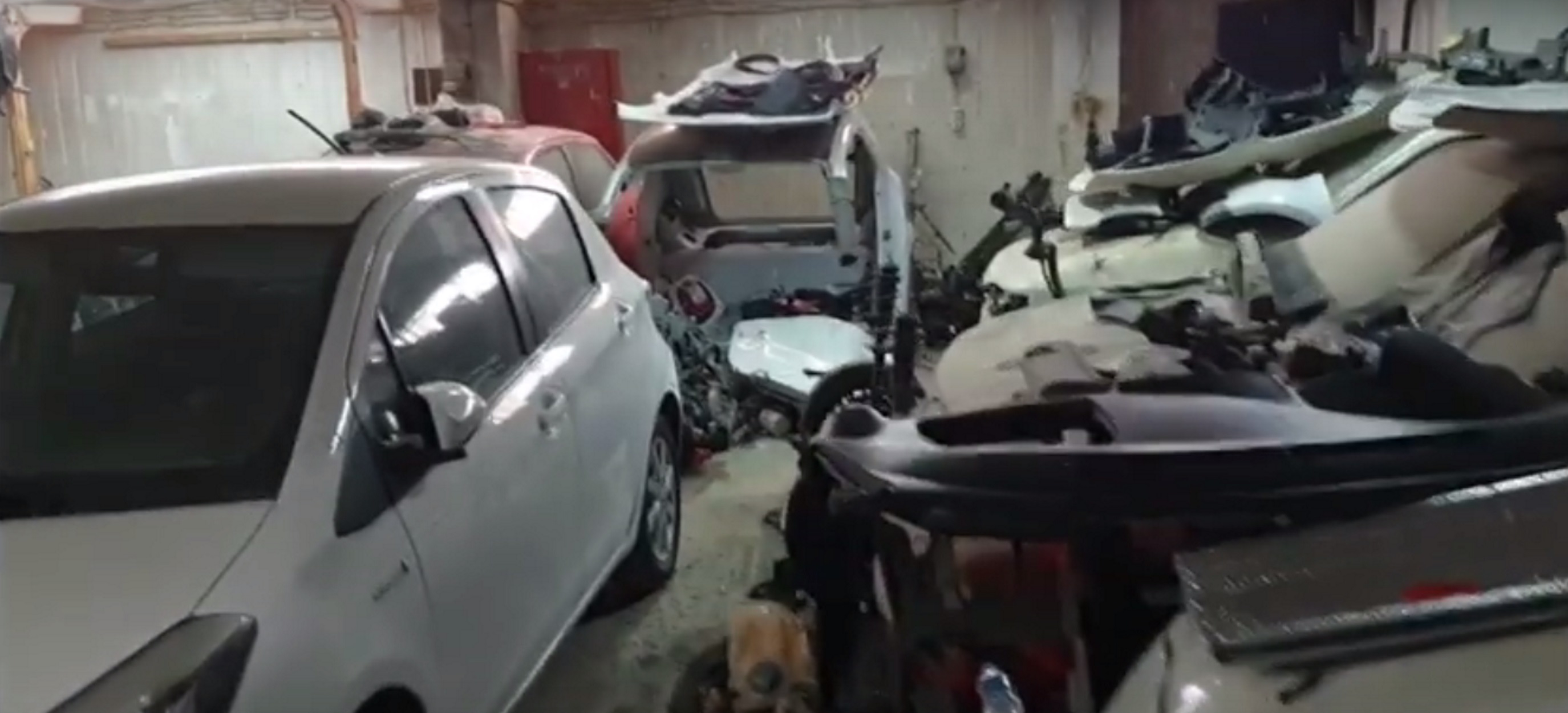 Αστυνομία: Βίντεο από μάντρα δεκάδων κλεμμένων αυτοκινήτων! video