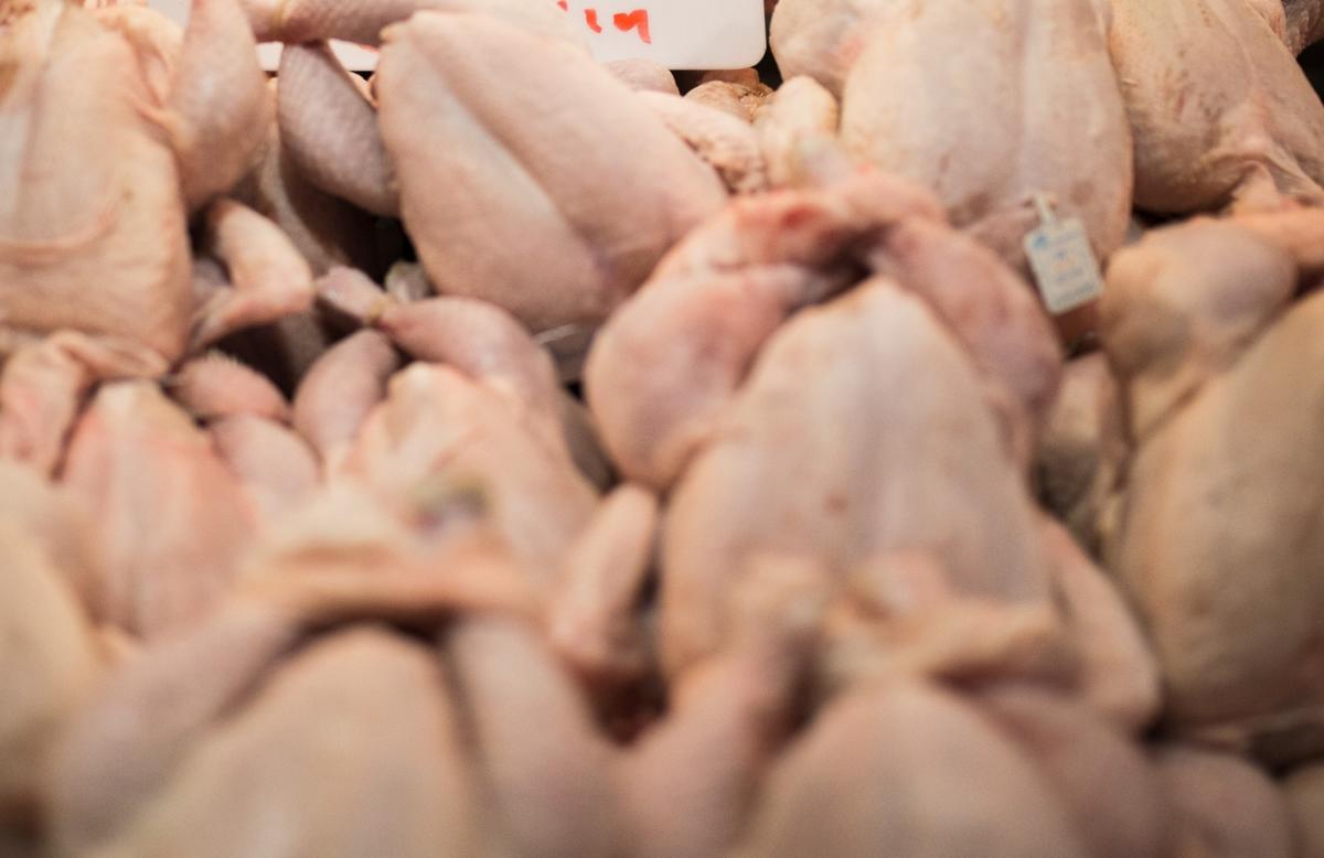 Αγγελάκης: Επενδύσεις 30 εκατ. ευρώ στα κοτόπουλα με έμφαση στην βιωσιμότητα