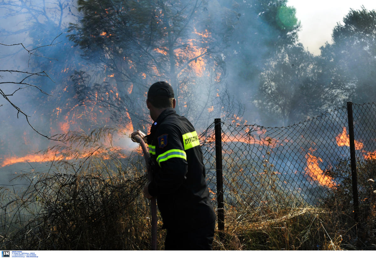 Λασίθι: Πολύωρη μάχη για να τεθεί υπό έλεγχο η φωτιά στην Καλαμαύκα – Δικογραφία για 84χρονο που έκαιγε ξύλα