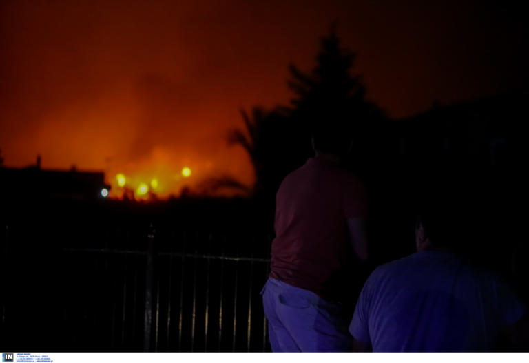 Με μπουλντόζες σταμάτησαν την φωτιά προτού φτάσει στα Ψαχνά