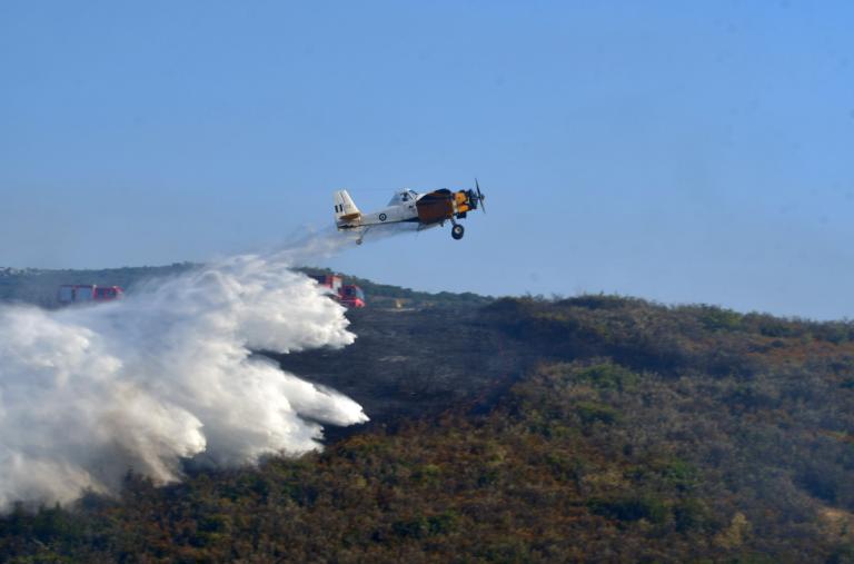 Καμπανάκι κινδύνου για φωτιές σε Αττική και Εύβοια - Συνεχείς περιπολίες στα δάση - 44 πύρινα μέτωπα σε μία μέρα