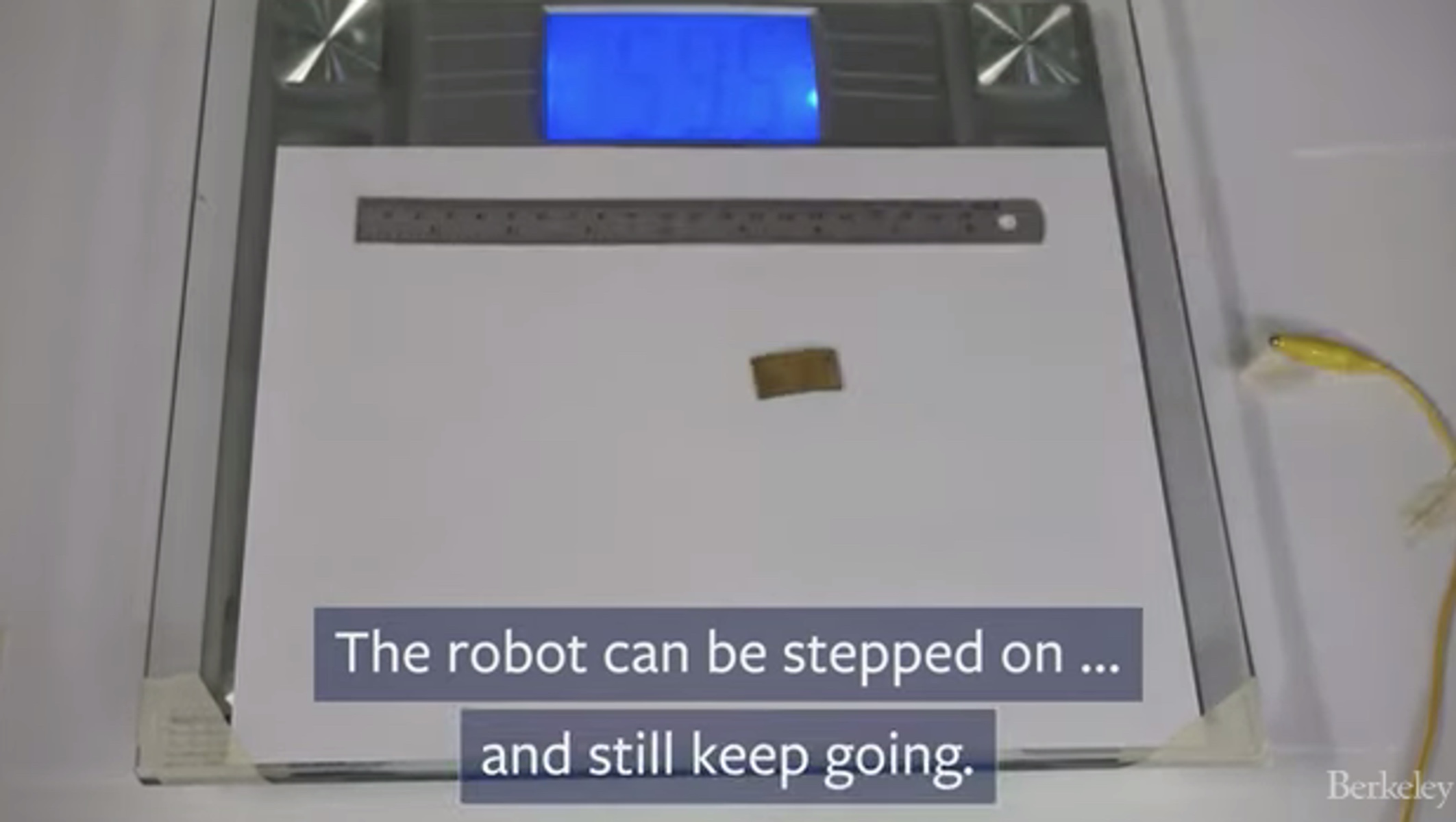 Δείτε το ρομπότ – κατσαρίδα που το πατάς και δεν παθαίνει τίποτα! [video]