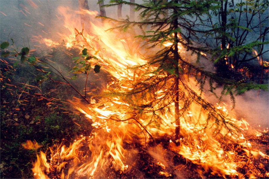 Σιβηρία: Οικολογική τραγωδία χωρίς τέλος – Μαίνονται σε 28.000.000 στρέμματα οι φωτιές
