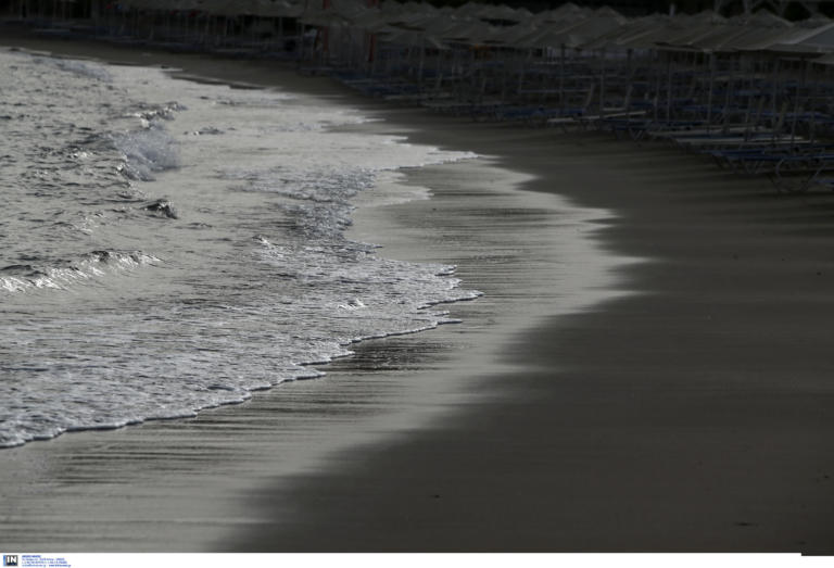 Εμφανίστηκε ξανά το δηλητηριώδες λεοντόψαρο! Πανικός σε παραλία - Τρομάζει η όψη του [pics]