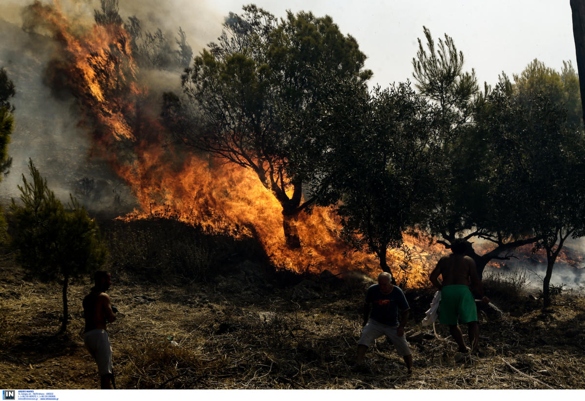 Πολιτική Προστασία: Υψηλός κίνδυνος πυρκαγιά την Παρασκευή στην Αττική