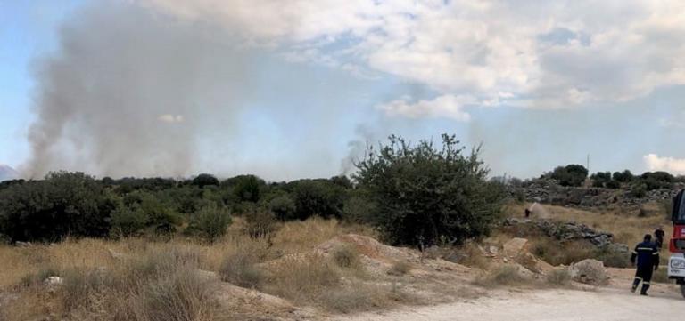 Φωτιά στην Ζωοδόχο Ιωαννίνων – Ισχυρές δυνάμεις της πυροσβεστικής στην περιοχή