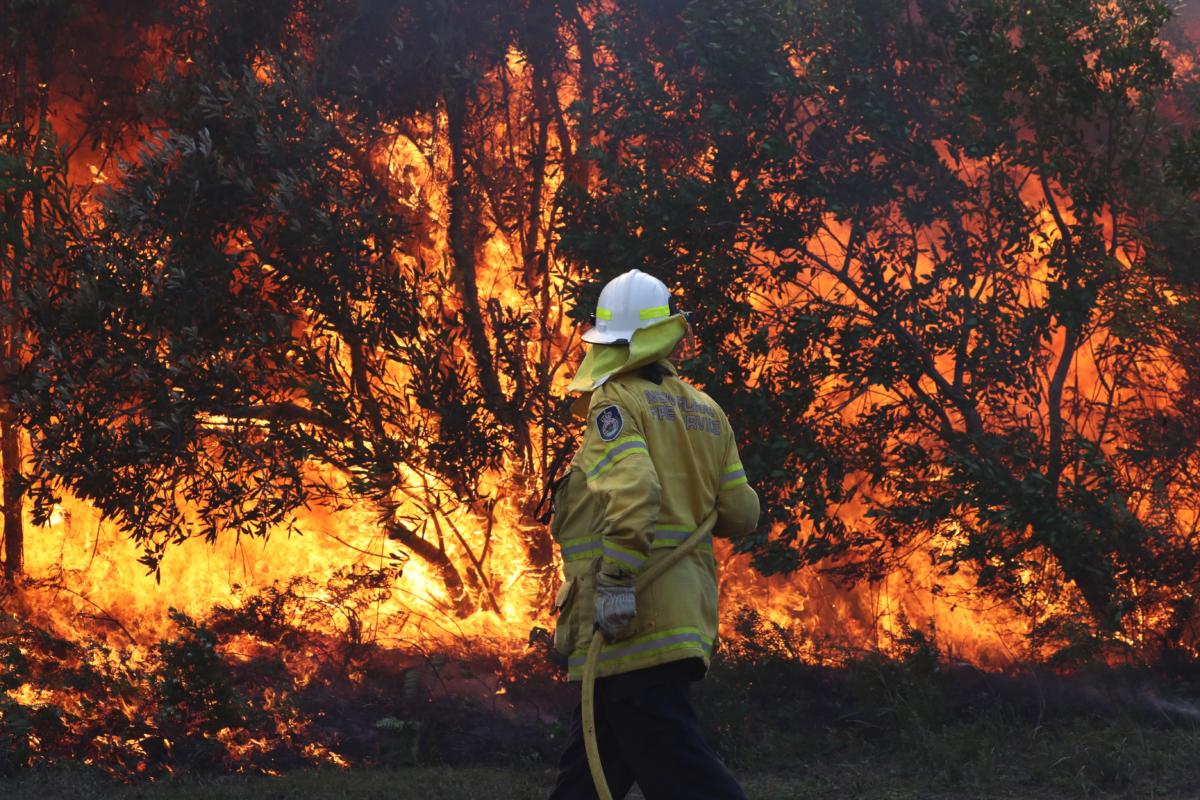 Αυστραλία: Μεγάλες δασικές πυρκαγιές στις Πολιτείες Κουίνσλαντ και Νέα Νότια Ουαλία