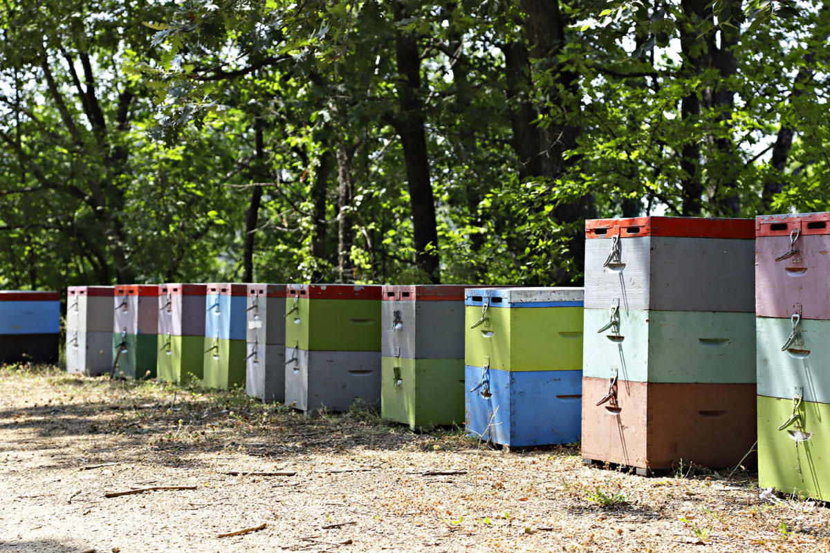 El Dorado Perivallon