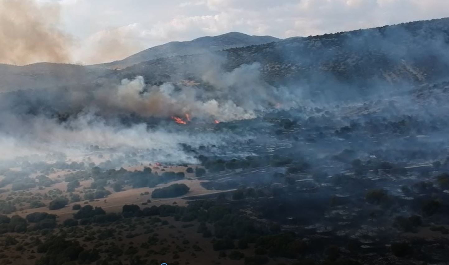 Μεγάλη φωτιά στην Κοζάνη – Μάχη και με εναέρια μέσα – video, pics