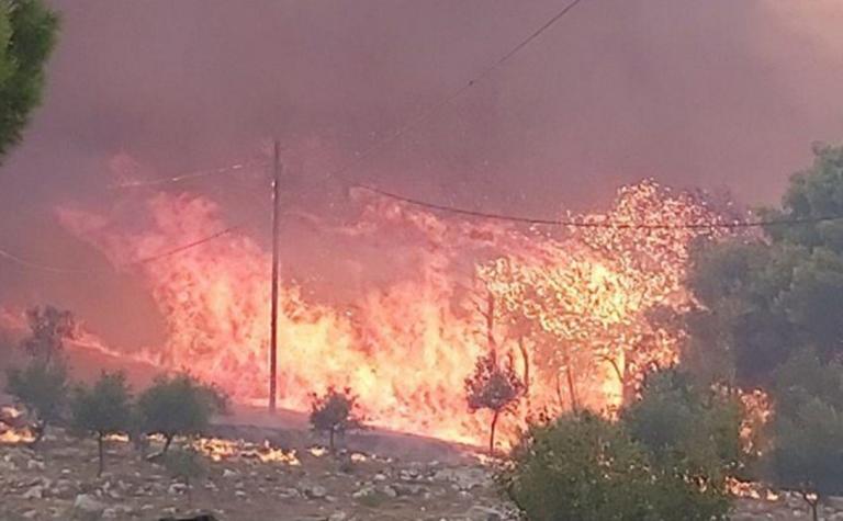 Φωτιά Ζάκυνθος: Πύρινη κόλαση και κραυγές αγωνίας – Εκκενώθηκαν χωριά μετά από αντιδράσεις – Νέες εικόνες [pics, video]