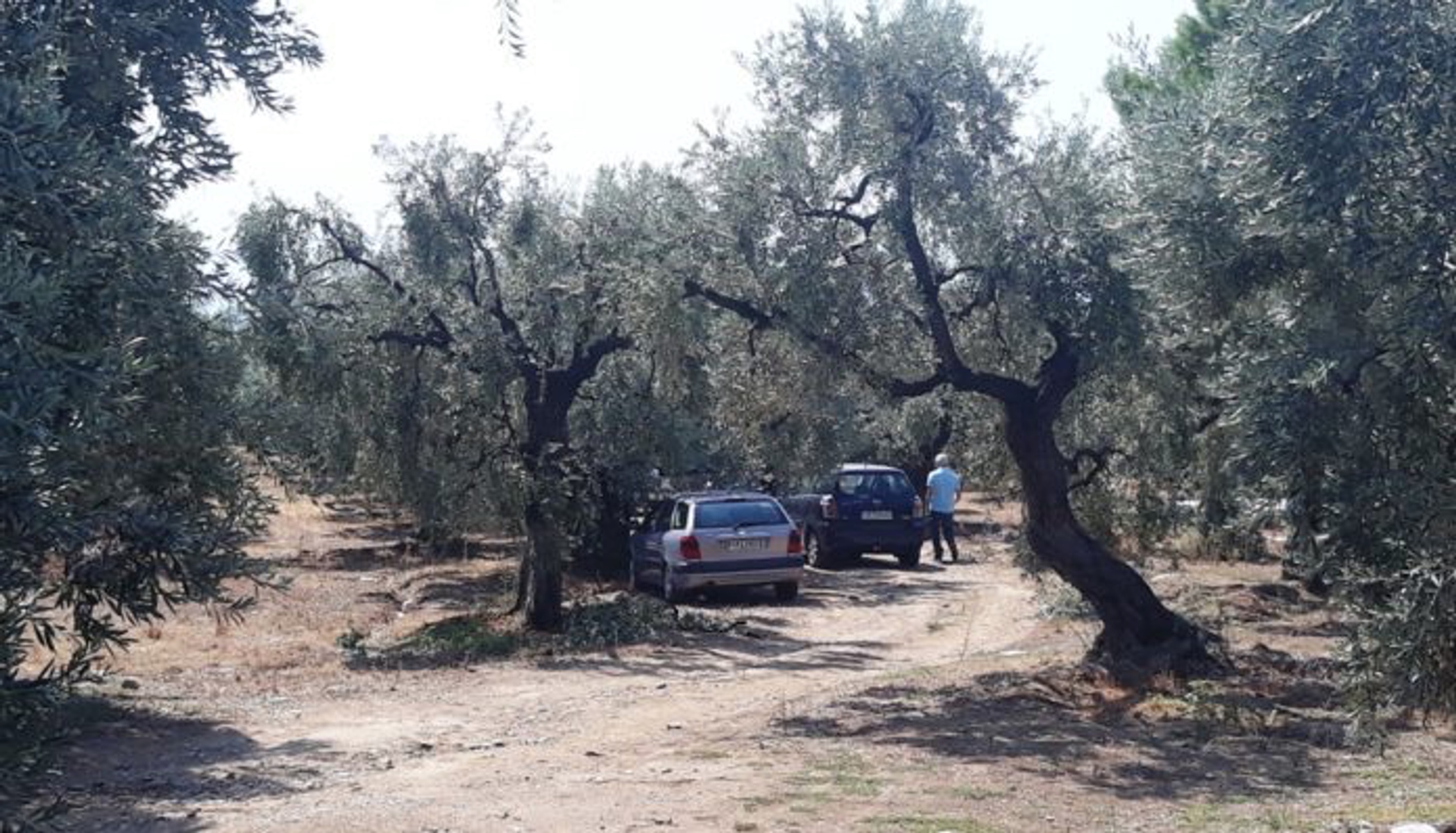 Βόλος: Τηλεφώνησε σε άγνωστο και στη συνέχεια αυτοκτόνησε – Τα βάσανα και οι τελευταίες σκέψεις του αυτόχειρα!