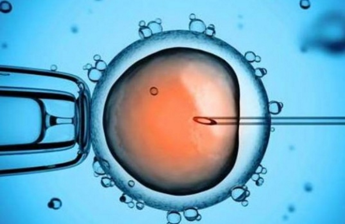 Συγκλονίζει γνωστή Ελληνίδα: «Ακόμη ο οργανισμός μου δεν έχει επανέλθει από τις εξωσωματικές»