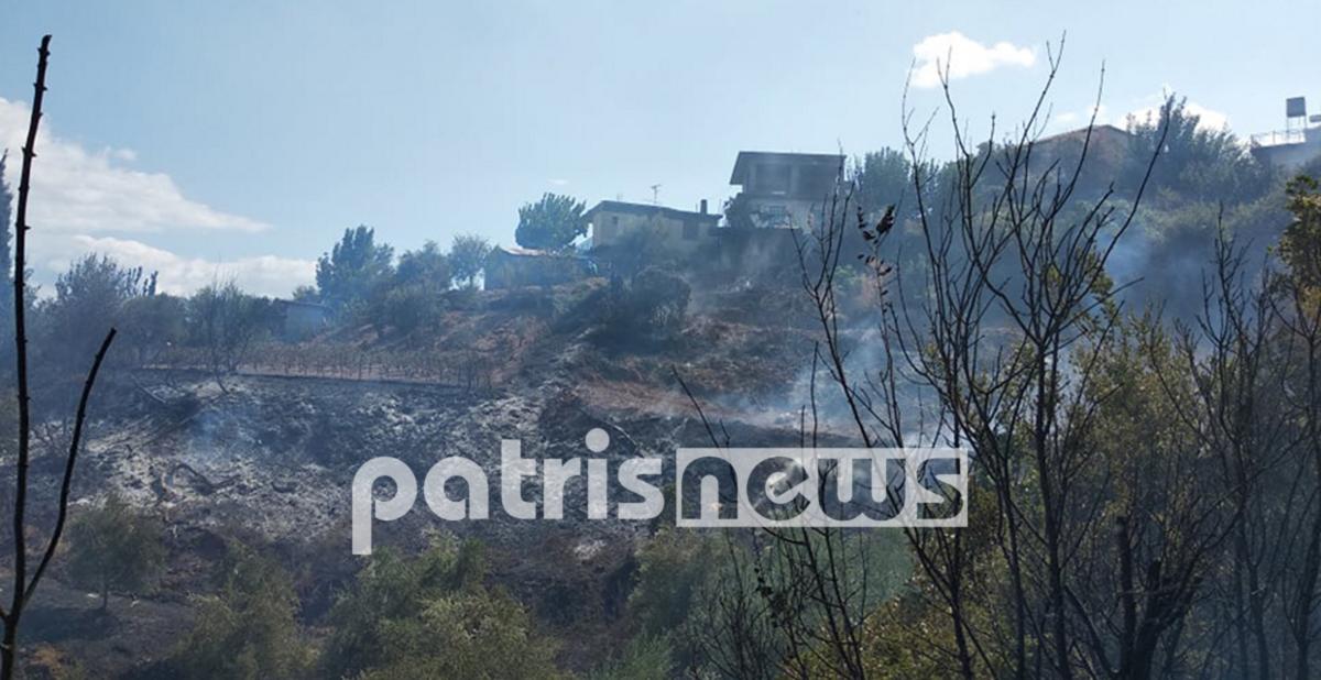 Νεκρός σε φωτιά στην Ανδρίτσαινα!