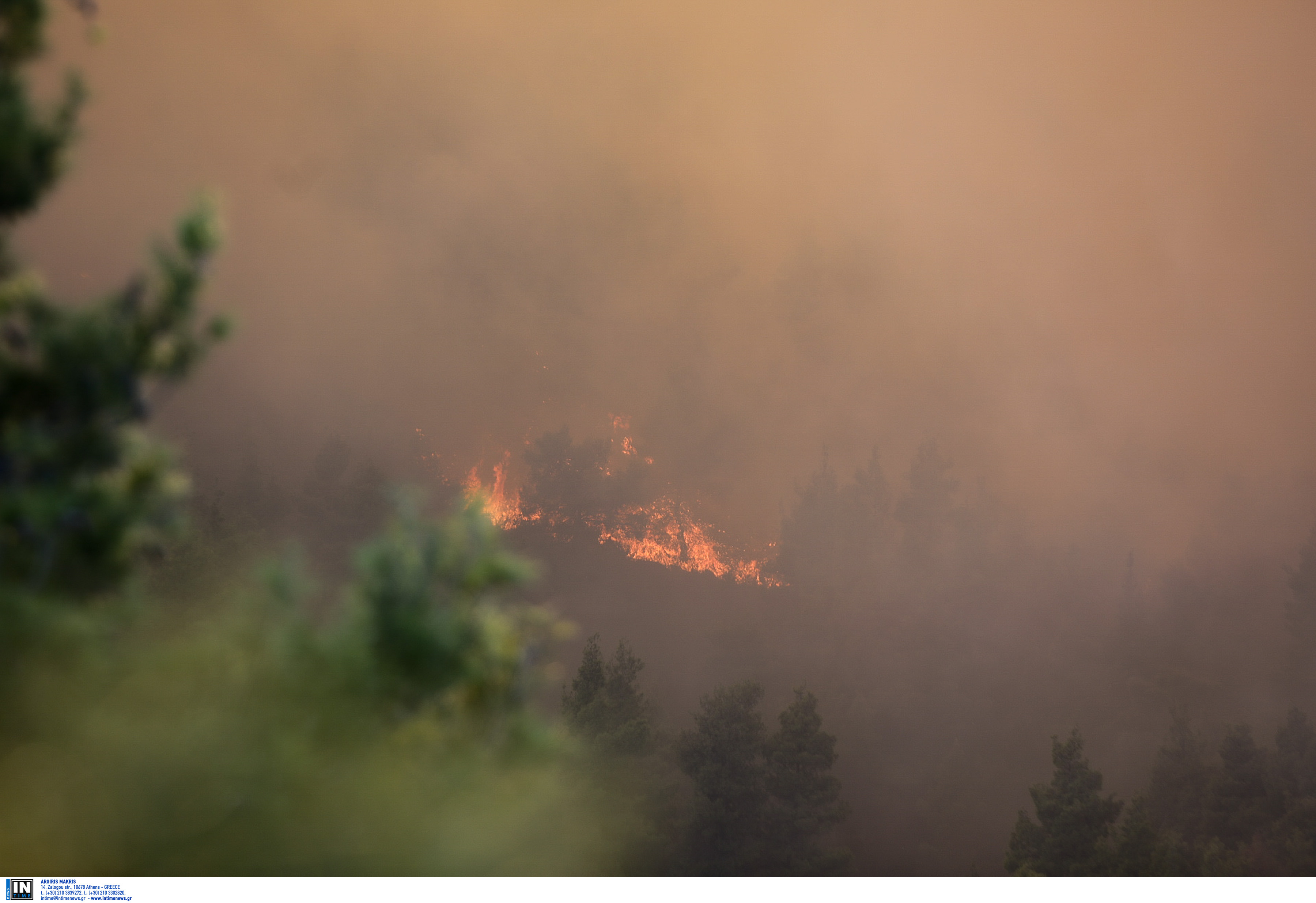 Καρδίτσα: Φωτιά τώρα στο Μουζάκι – Στο σημείο πυροσβέστες και τρεις ομάδες πεζοπόρων!