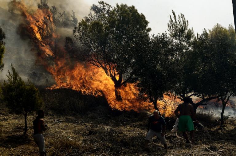 Φωτιά ΤΩΡΑ στην Μάνδρα Αττικής
