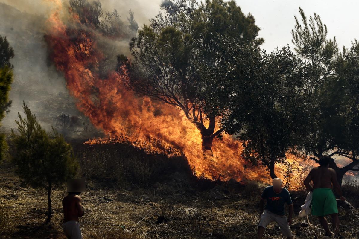 Κέρκυρα: Σπίθα που ξέφυγε από αλυσοπρίονο προκάλεσε τη φωτιά!