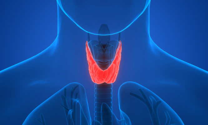 Υποθυρεοειδισμός και διατροφή: Τι να τρώτε και τι όχι