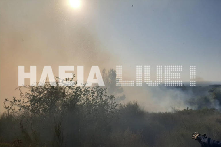 Ηλεία: Νέα φωτιά στην Ήλιδα – Καίει κοντά στην μονάδα επεξεργασίας στερεών αποβλήτων