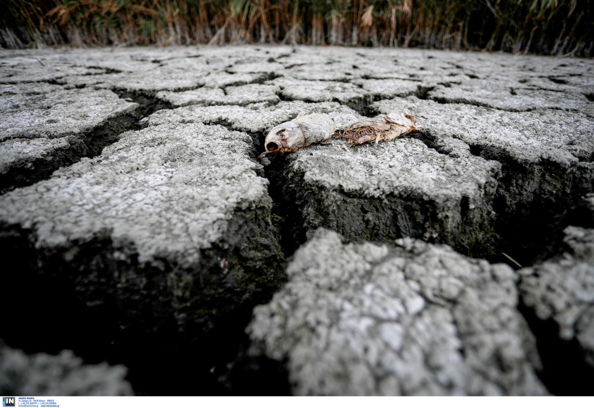 Κλιματική Αλλαγή: Εφιαλτικές προβλέψεις Ζερεφού για καύσωνα κάθε χρόνο και.. δυσβάσταχτο χρέος