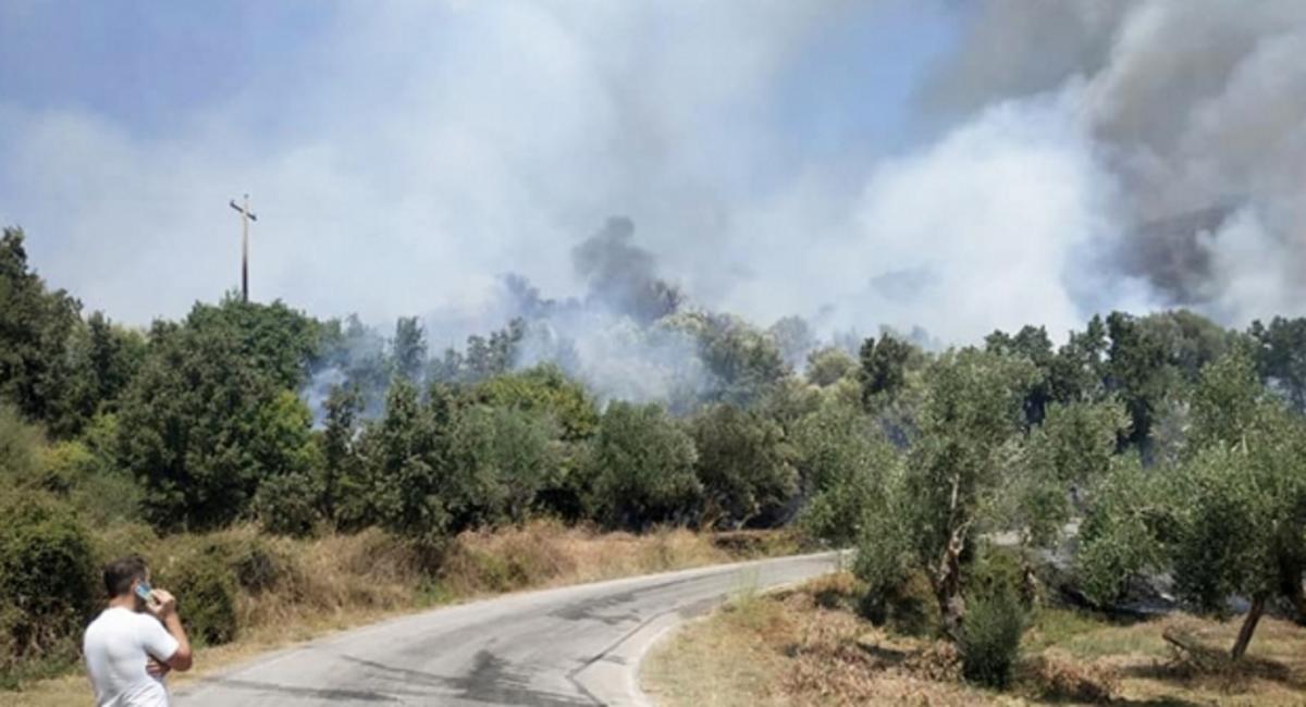 Φωτιά σε δάσος της Λακωνίας