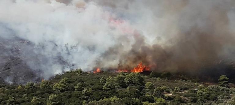 Φωτιά κοντά σε σπίτια στην Αργολίδα - Στην περιοχή πνέουν ισχυροί άνεμοι