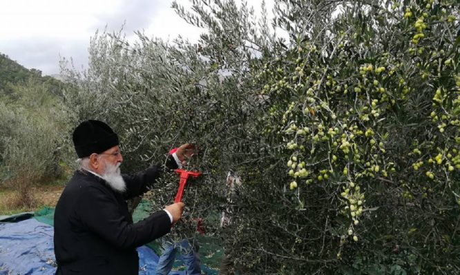 Παράδειγμα ανθρωπιάς: Και Δεσπότης και … αγρότης ο Μαντινείας Αλέξανδρος