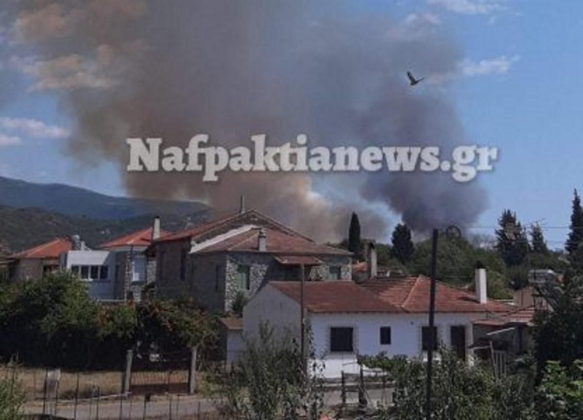 Φουντώνει η μεγάλη φωτιά στη Δωρίδα! Καίει ανεξέλεγκτη!