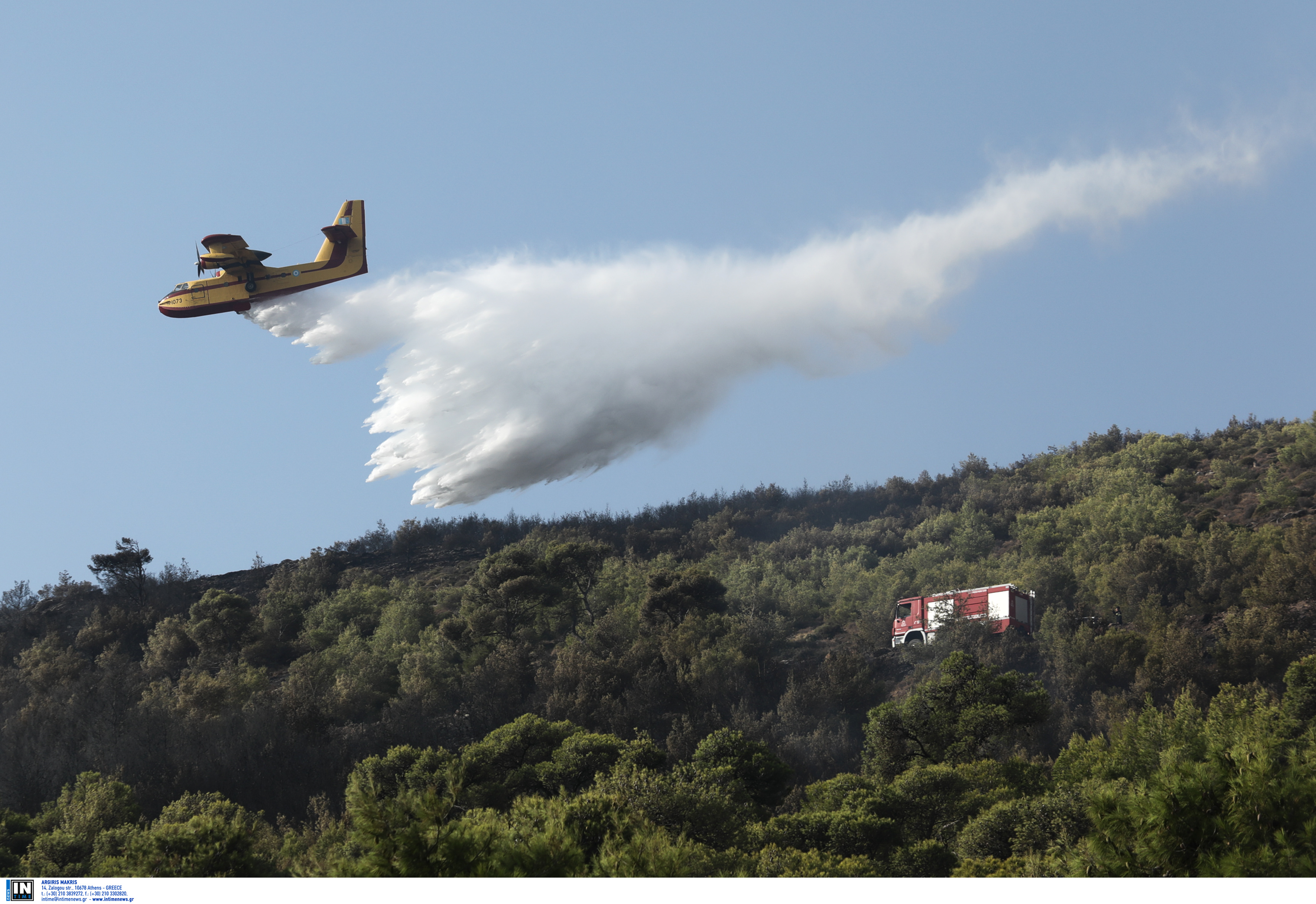 Φωτιά σε δασική έκταση στα Καλάβρυτα