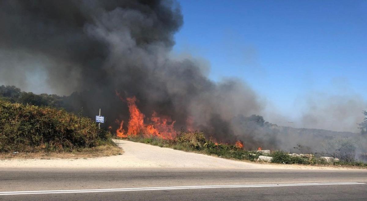 Φωτιά στην Πρέβεζα κοντά στον Αρχαιολογικό χώρο της Νικόπολης